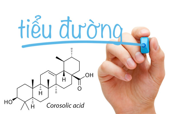 Vai trò của Corosolic acid trong điều trị bệnh tiểu đường